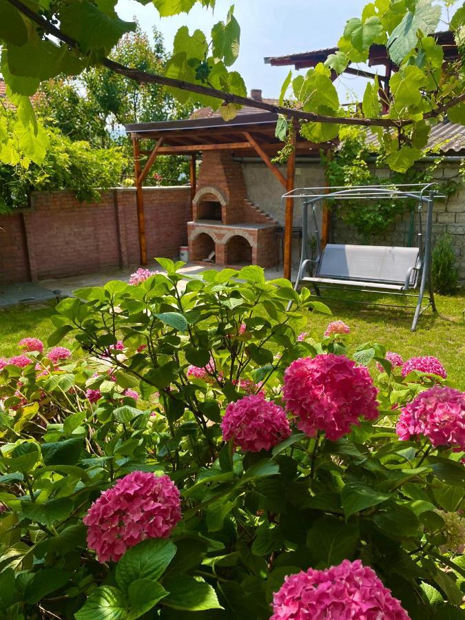 Holiday Home Esku Orşova Buitenkant foto